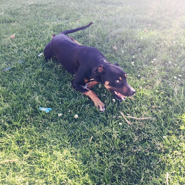 Photo of Leroy