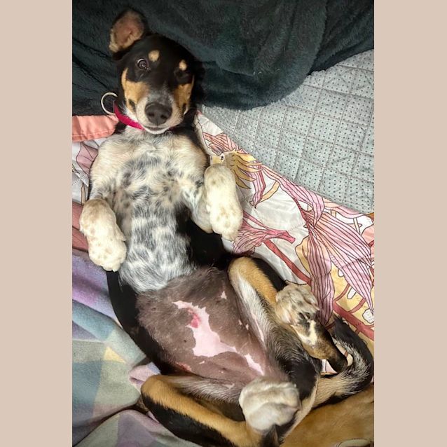 Photo of Polly