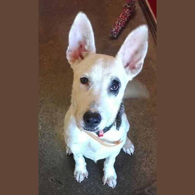 Photo of Izzy