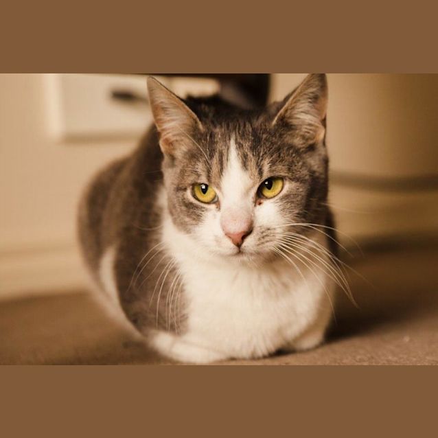 Photo of Smudge Quackenbush