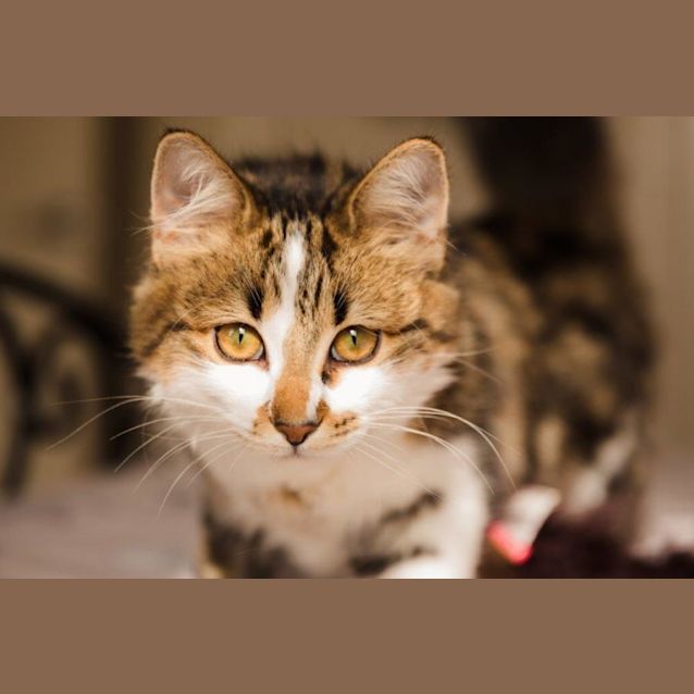 Photo of Dusty Quackenbush