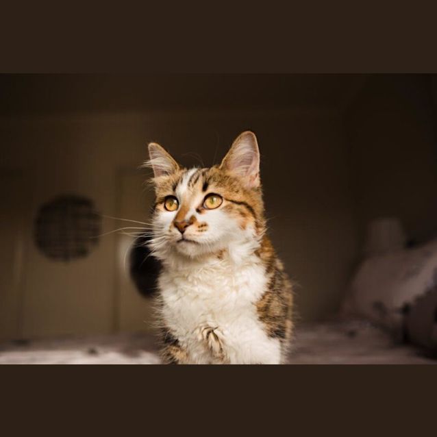 Photo of Dusty Quackenbush