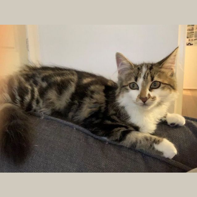 Photo of Dusty Quackenbush