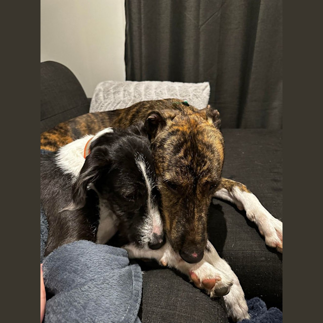 Photo of Murphy Tremayne