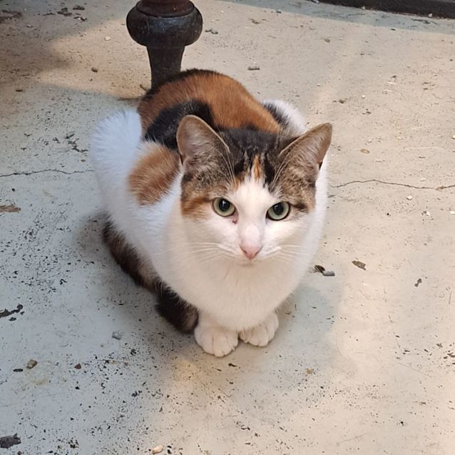 Photo of Matilda