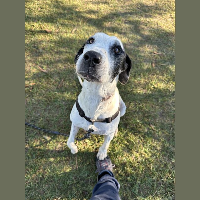 Photo of Maudie