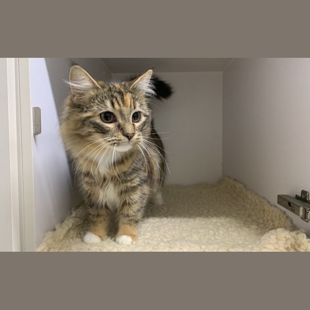 Photo of Mona