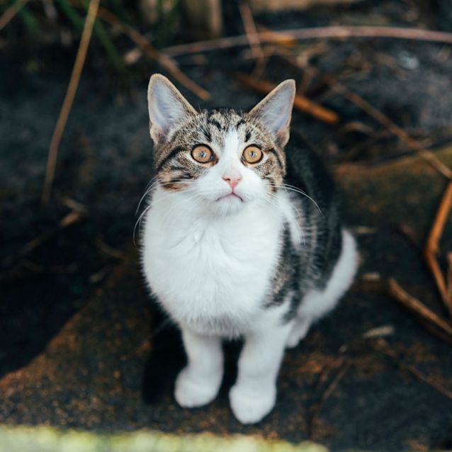 Photo of Lenny
