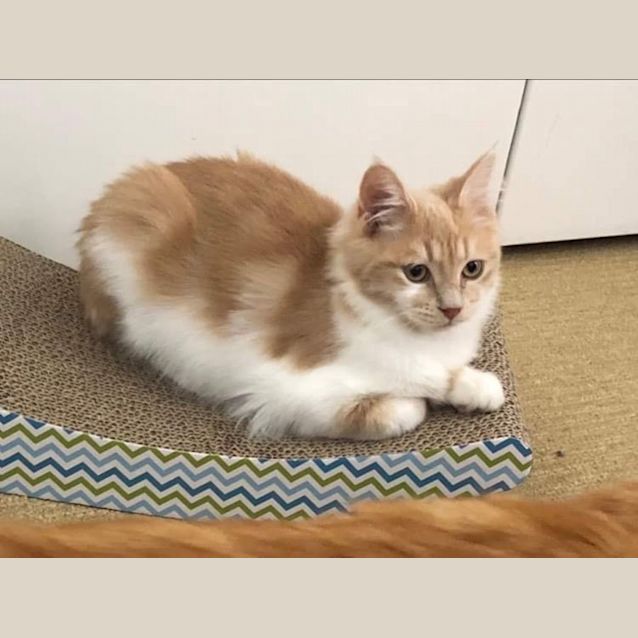 Photo of Nellie