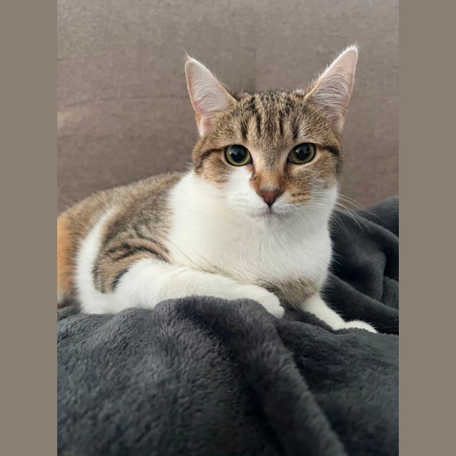 Photo of Miss Penelope