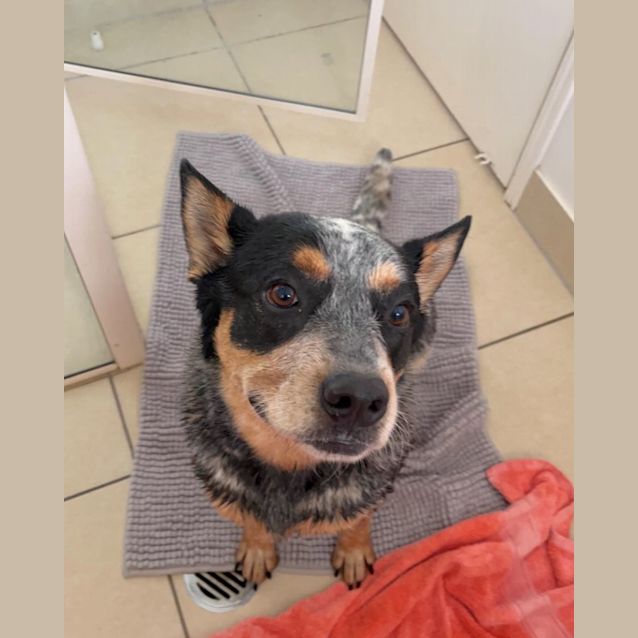 Photo of Ruby