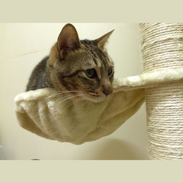 Photo of Doo Doo (Located In Preston)