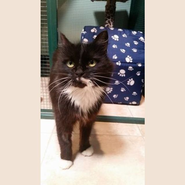 Photo of Mog