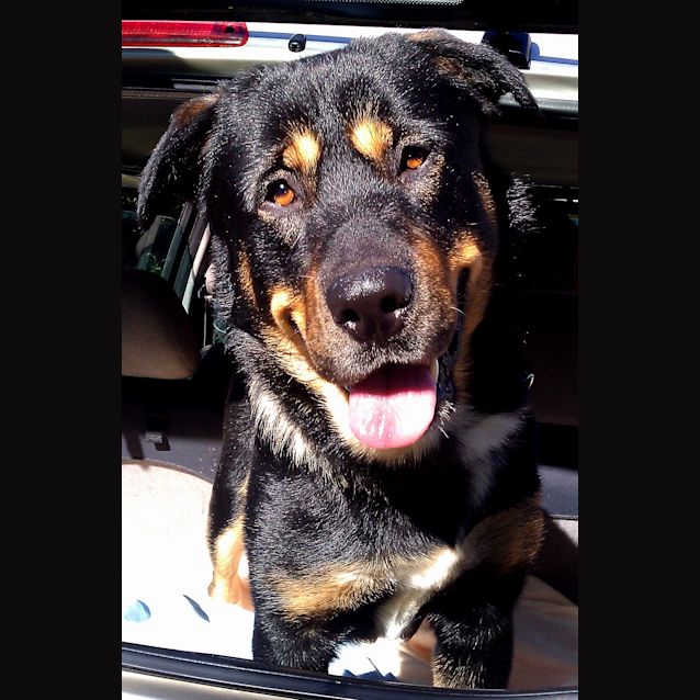 Photo of Jasper