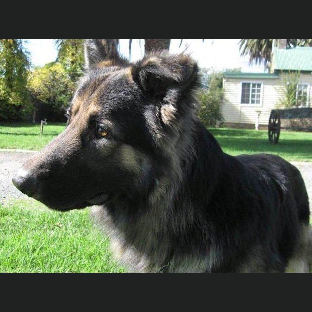 Photo of Murphy On Trial With His New Family
