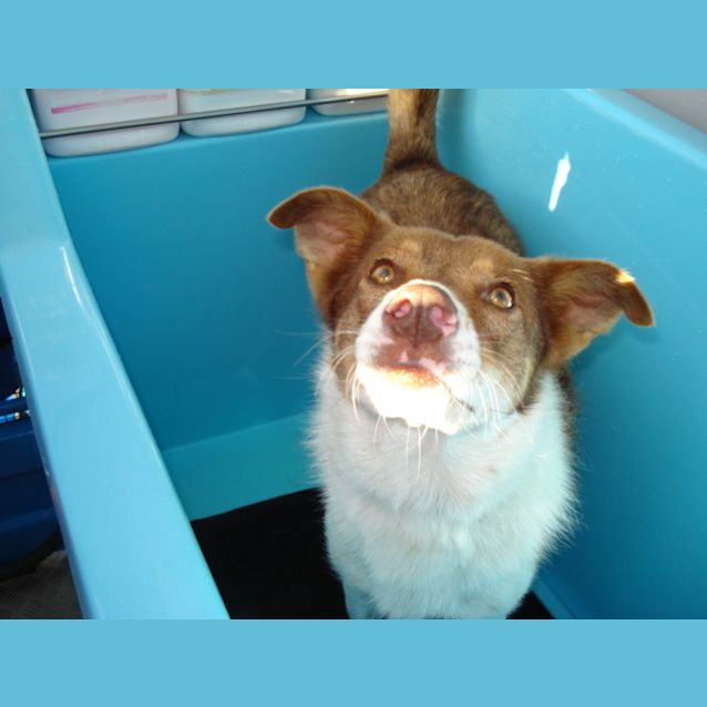 Photo of Jessie