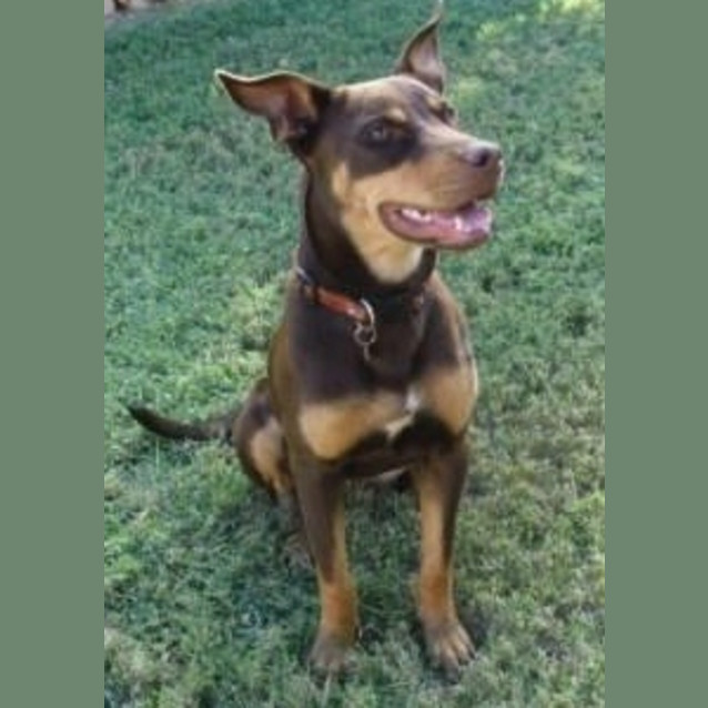 Photo of Summer(d1872)*Adopted*