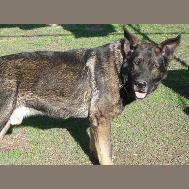 Photo of Hugo