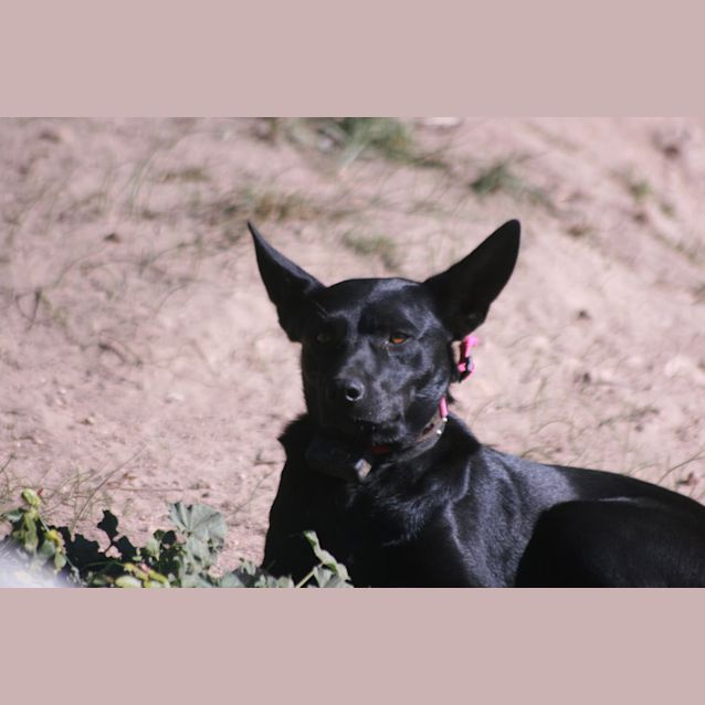 Photo of Nyrie