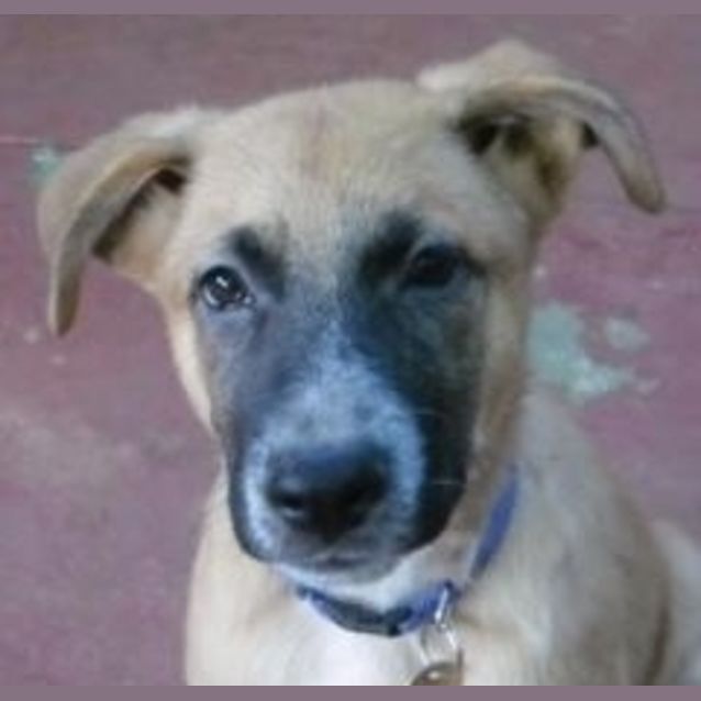 Photo of Preston(d1871)*Adopted*