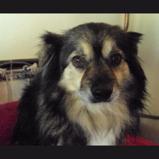 Photo of Hotfoot