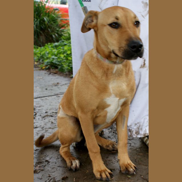 Photo of Ruby