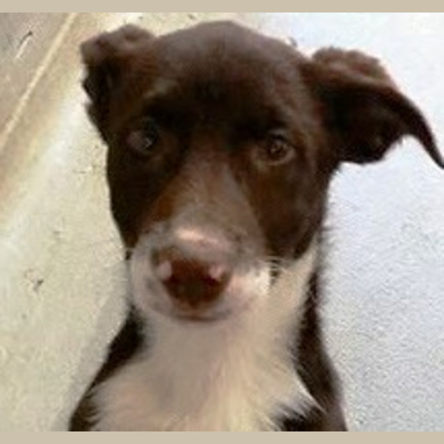 Photo of Paddy