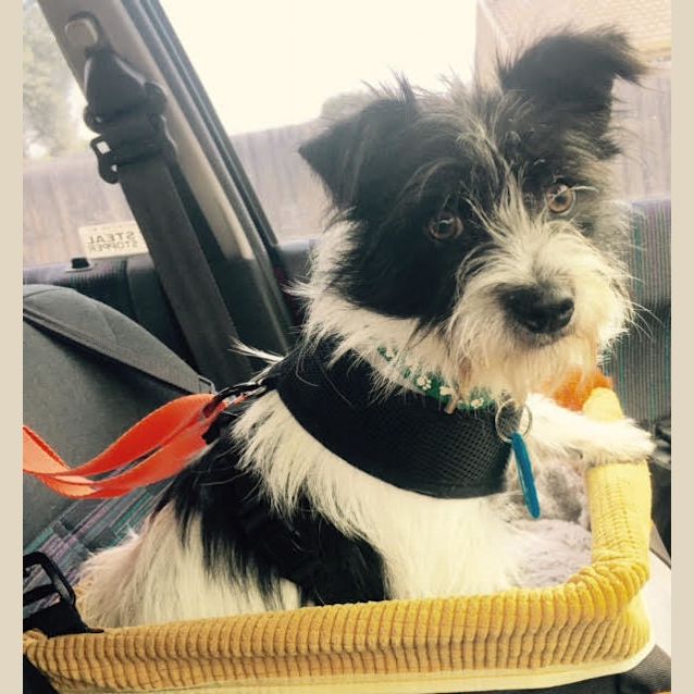 Photo of Wilma