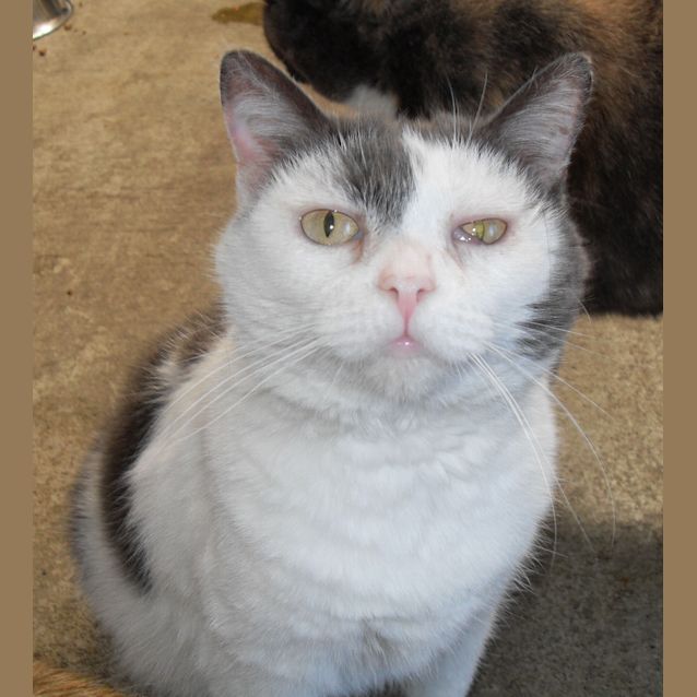 Photo of Lulu