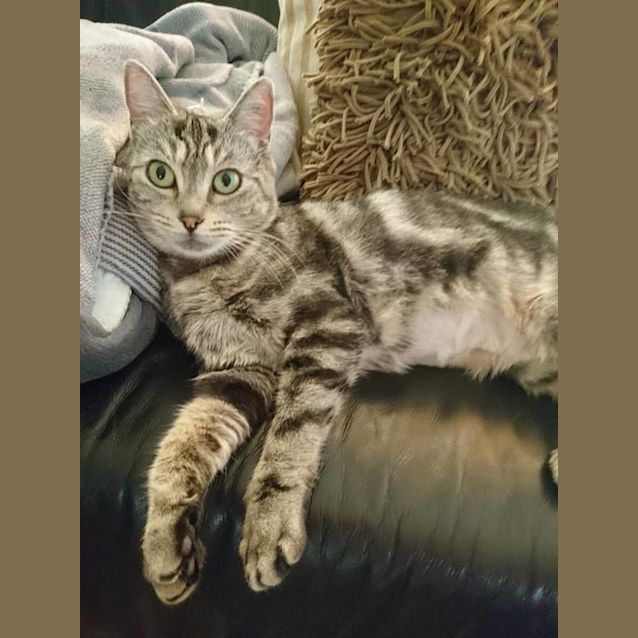 Photo of Annabella   (519)