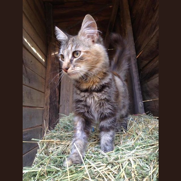 Photo of Isabelle