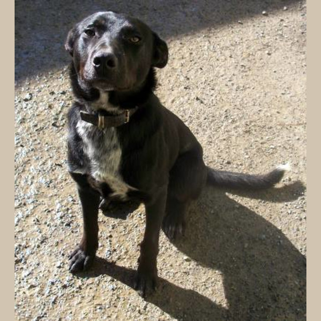 Photo of Digby