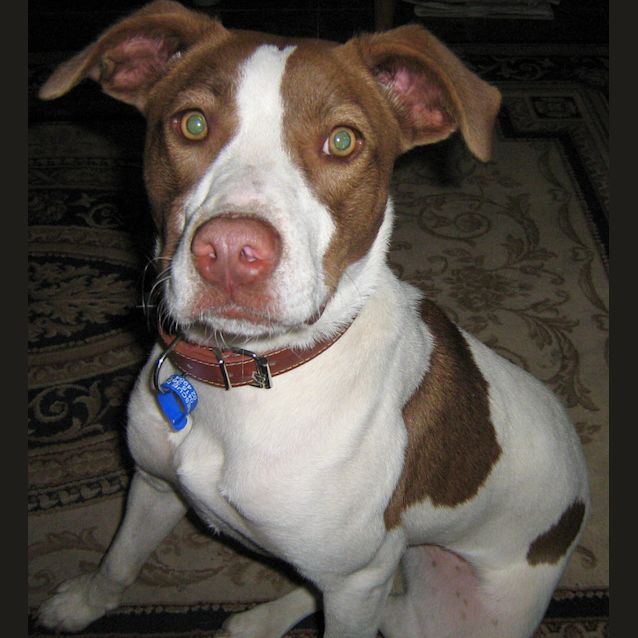 Photo of Rosie (On Trial)