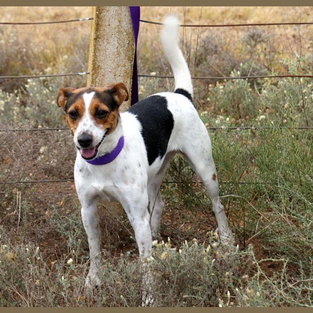 Photo of Tilly
