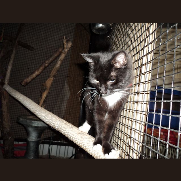 Photo of Charlie