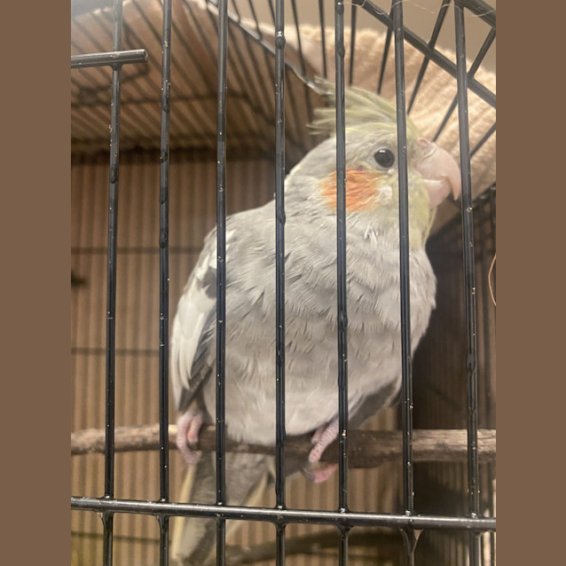 Photo of Happy