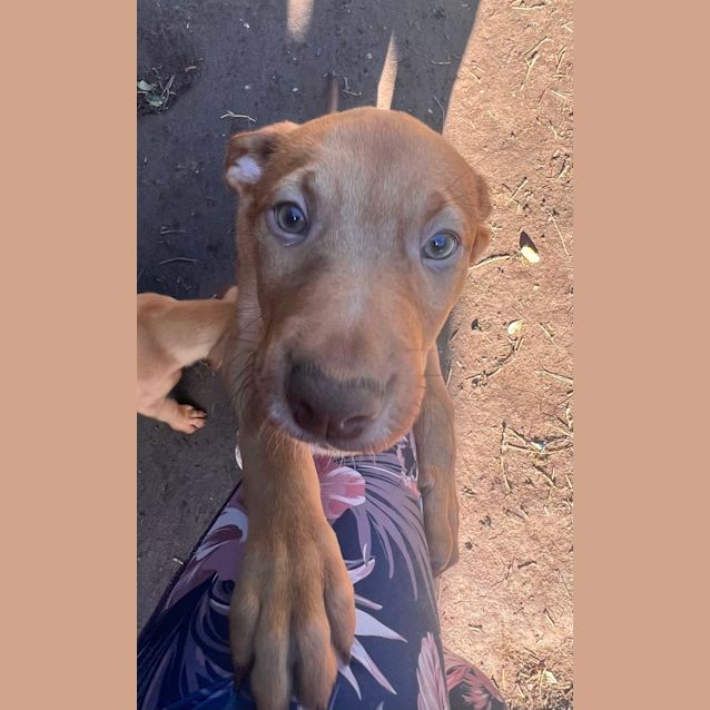 Photo of Dora