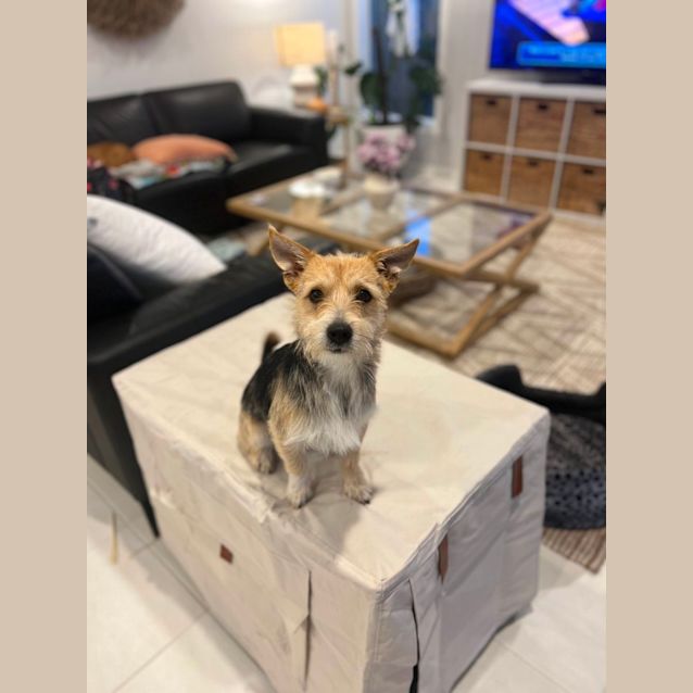 Photo of Captain Planet 