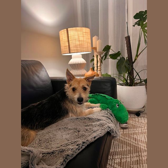 Photo of Captain Planet 