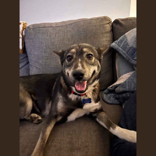 Photo of Roo