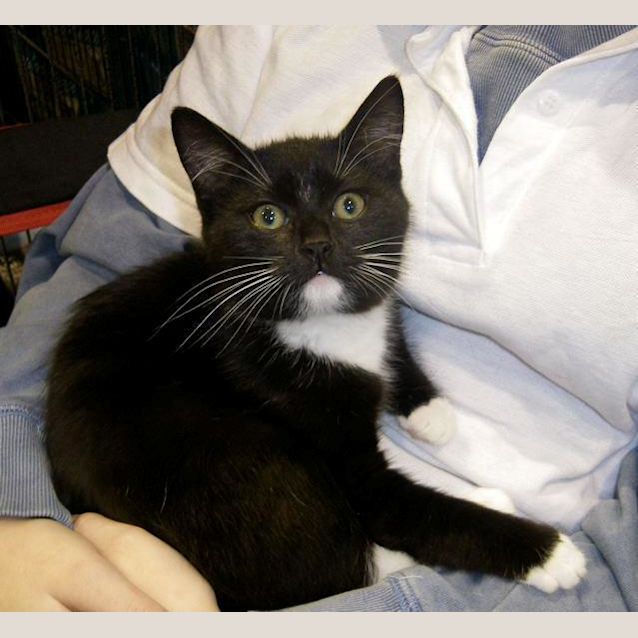 Photo of Barnaby