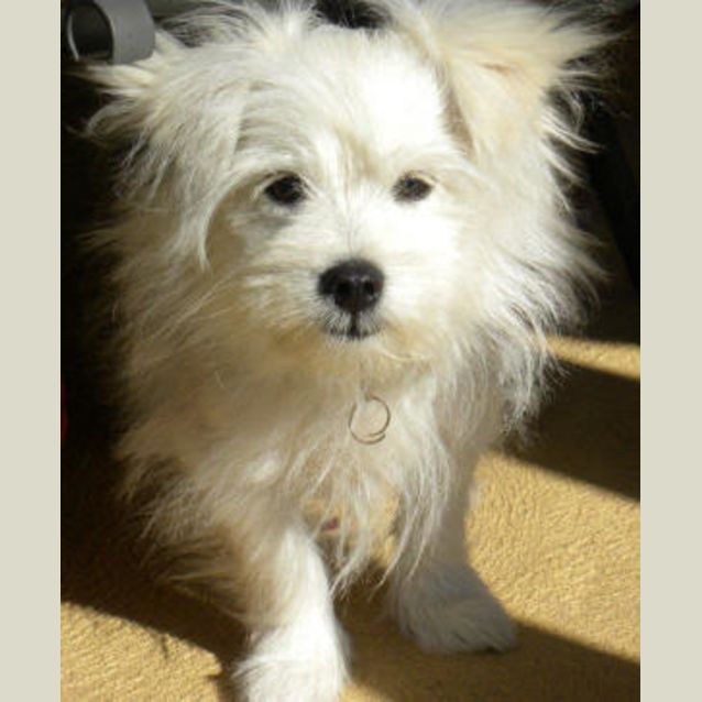 Photo of Levi