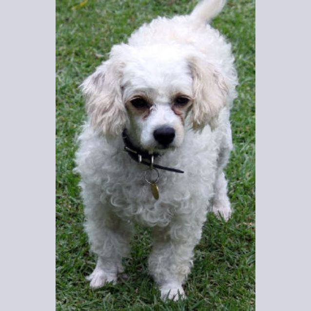 Photo of Esme