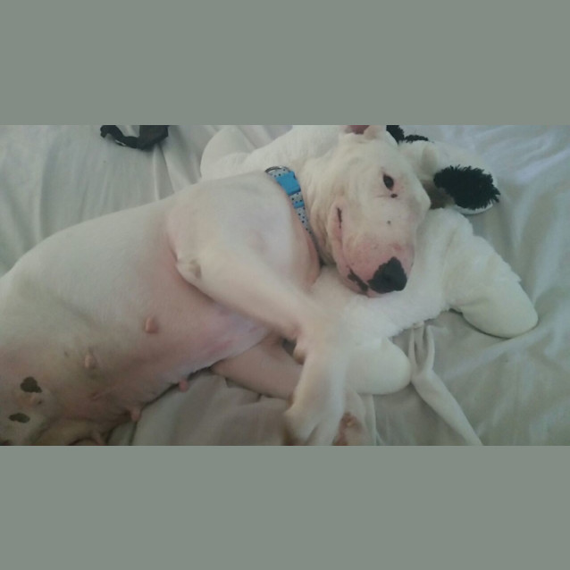 Photo of Matilda   Foster Carer Needed