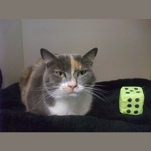Photo of "Tootie" C10842