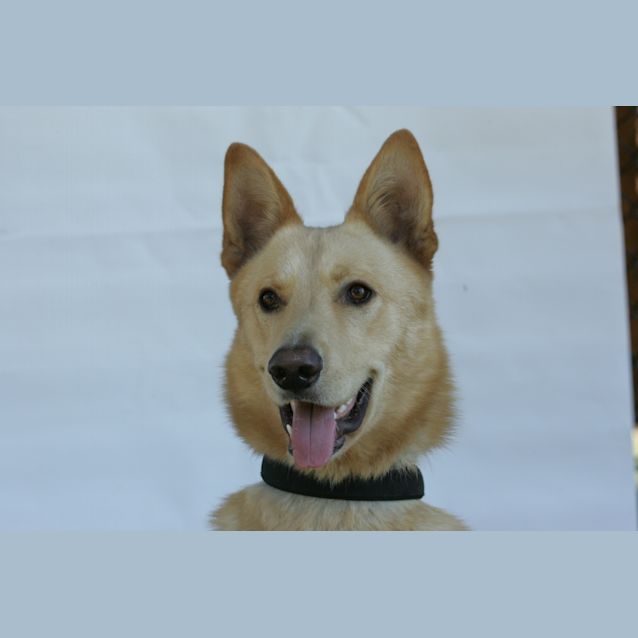 Photo of Mac