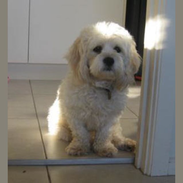 Photo of Mumma (Pollyanna)