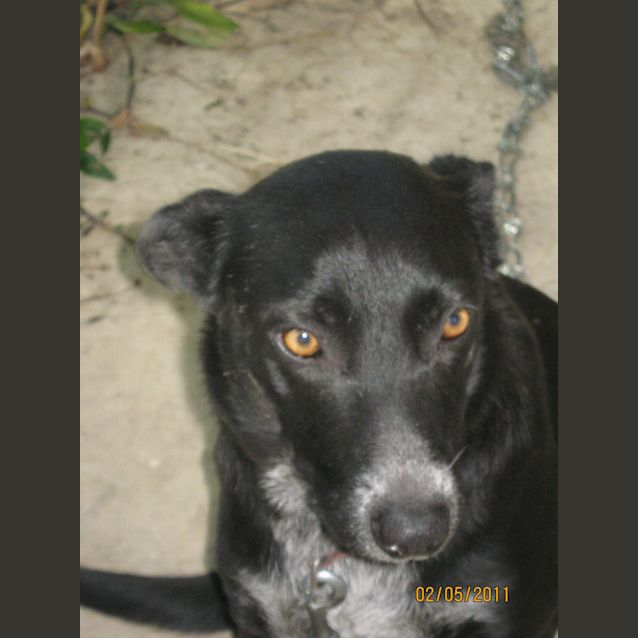 Photo of Lani