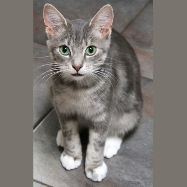 Photo of Pip