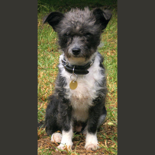 Photo of Gretel